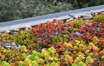 the cost of New Elgin green roof installation
