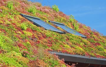 New Elgin living roof systems