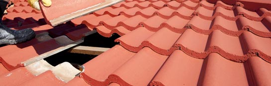compare New Elgin roof repair quotes